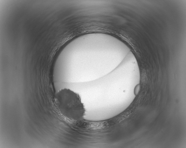 X0000058800353200510171353