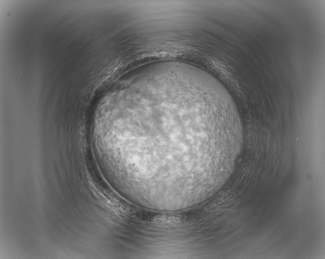 X0000058800354200510171353