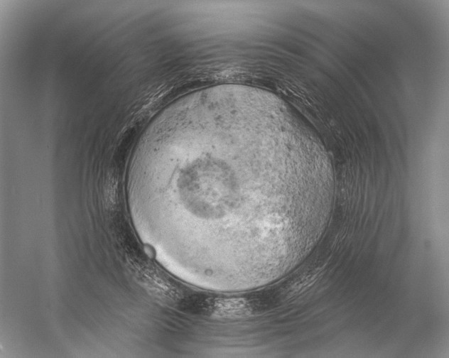 X0000058800355200510171353