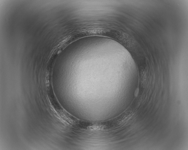 X0000058800356200510171353