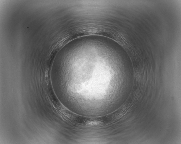 X0000058800360200510171353