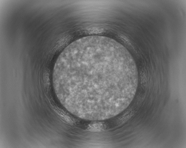 X0000058800362200510171353