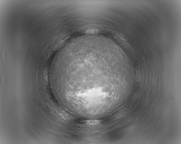 X0000058800363200510171353