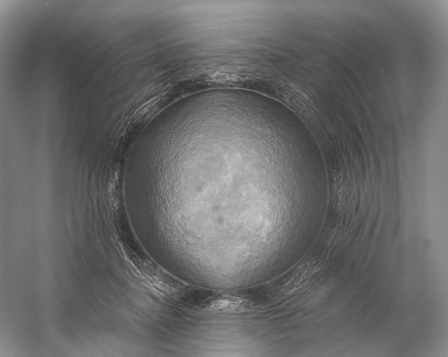 X0000058800364200510171353