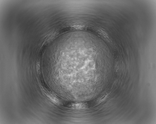 X0000058800365200510171353