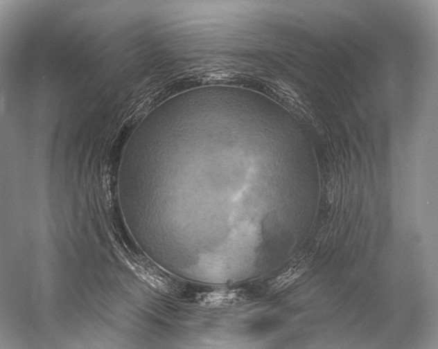 X0000058800366200510171353