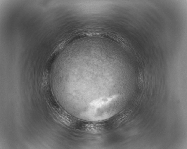 X0000058800367200510171353