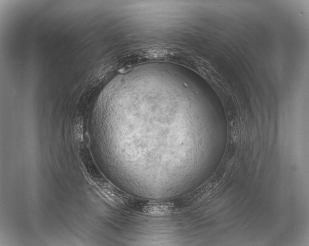 X0000058800368200510171353