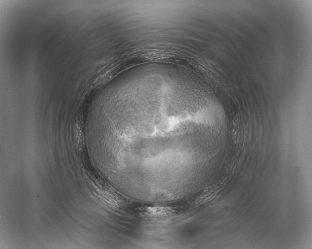 X0000058800371200510171353