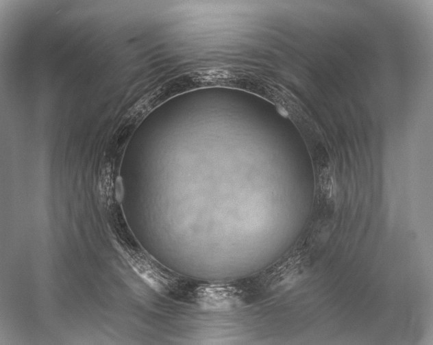 X0000058800372200510171353