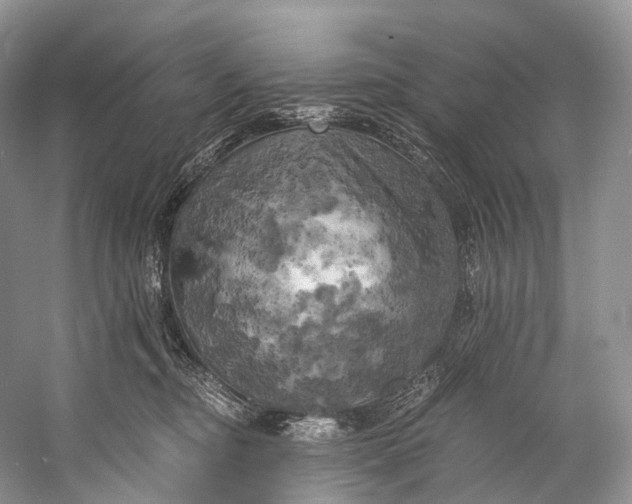 X0000058800374200510171353