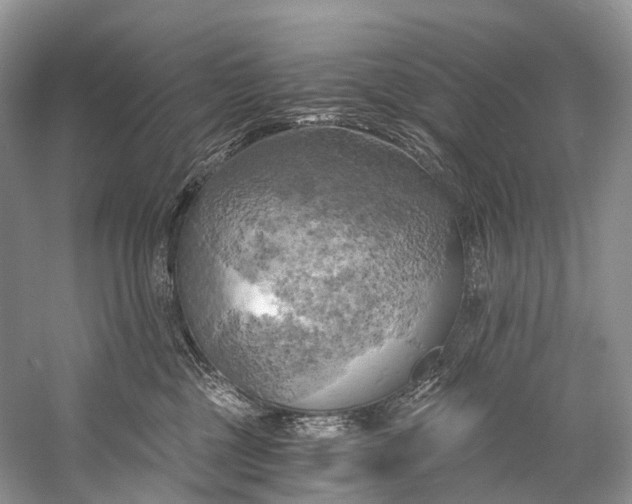 X0000058800377200510171353