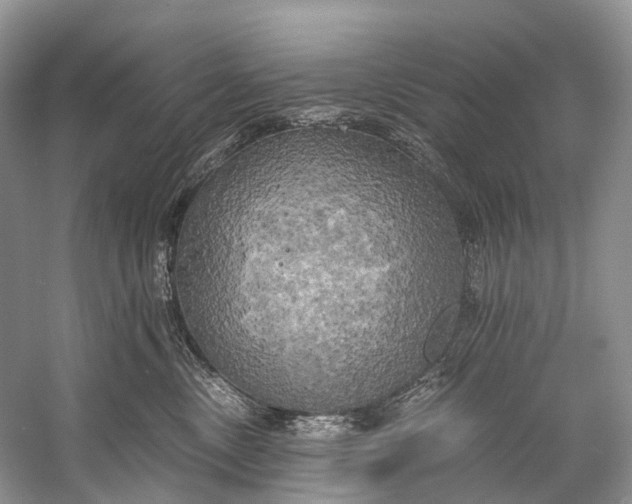 X0000058800378200510171353