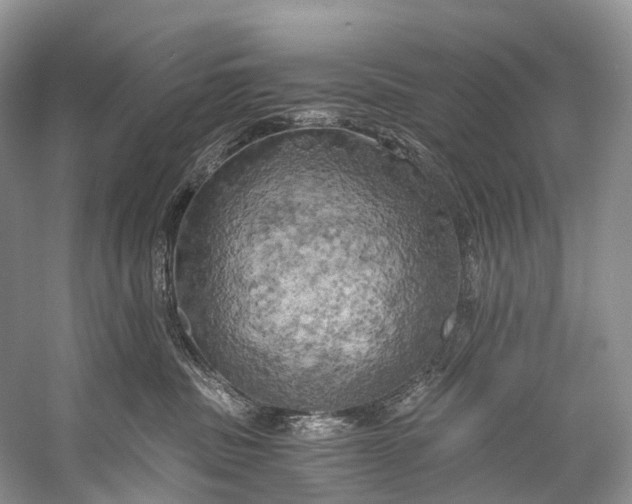 X0000058800379200510171353