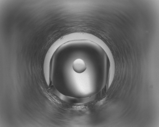 X0000058800380200510171353