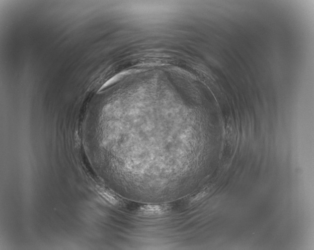 X0000058800381200510171353
