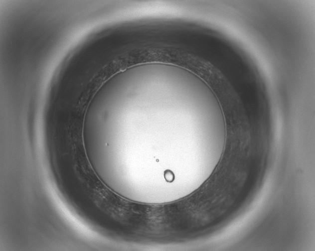 X0000058800382200510171353