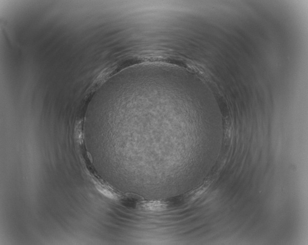 X0000058800383200510171353