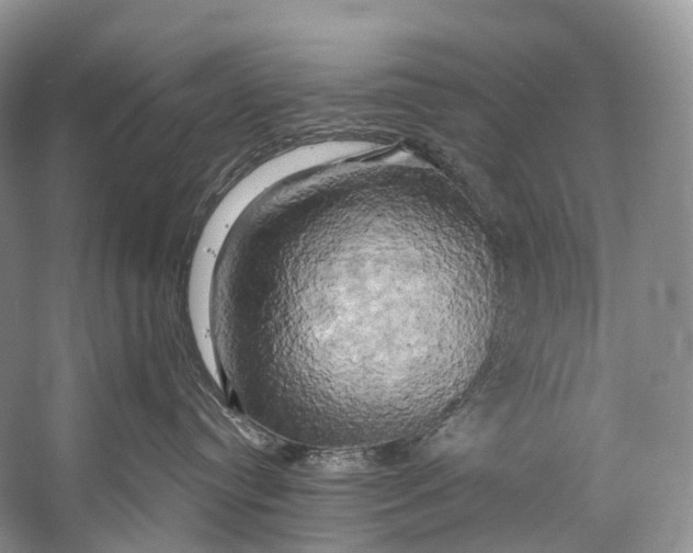 X0000058800384200510171353