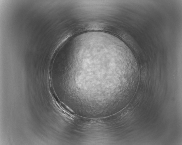 X0000058800386200510171353