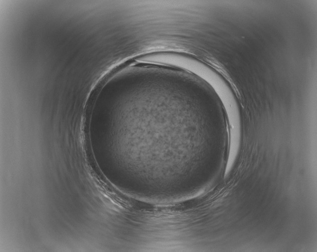 X0000058800387200510171353