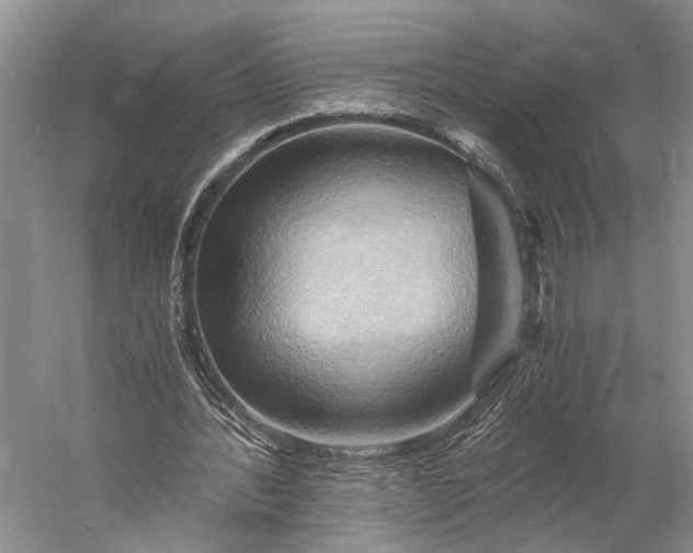 X0000058800388200510171352