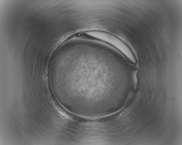 X0000058800389200510171352