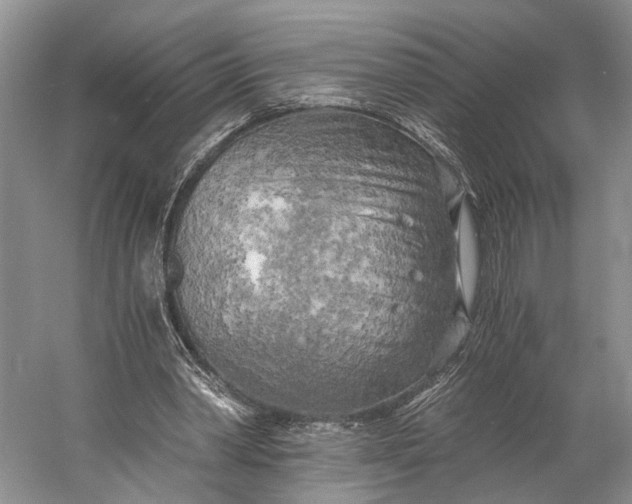 X0000058800390200510171352