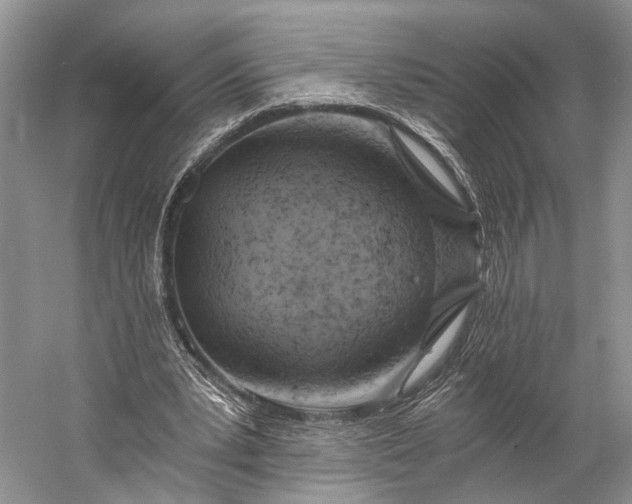 X0000058800391200510171352