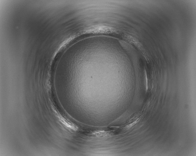 X0000058800392200510171352