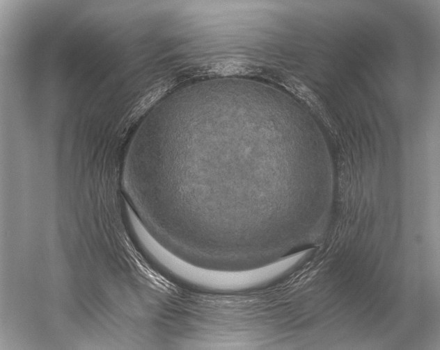 X0000058800393200510171352