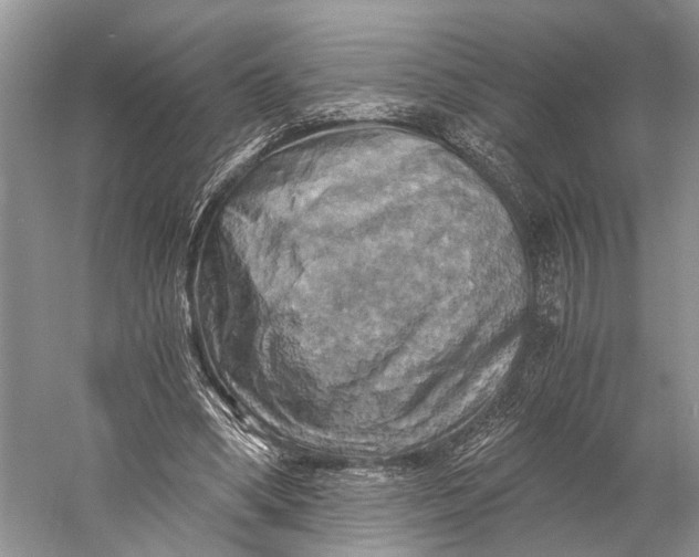 X0000058800394200510171352