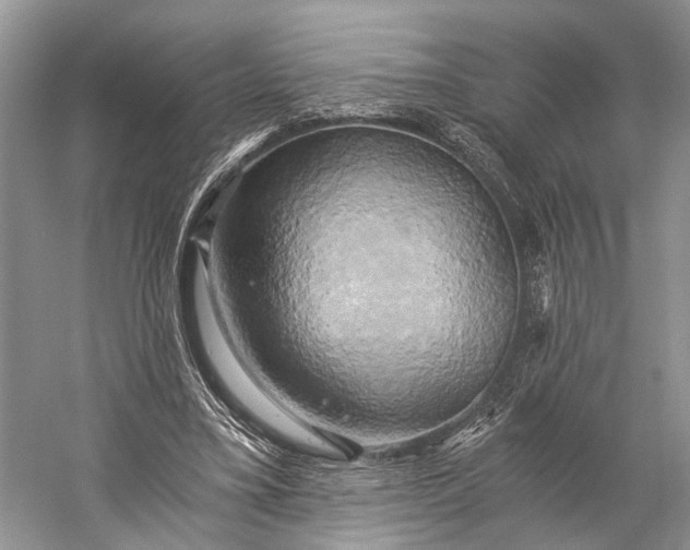 X0000058800395200510171352