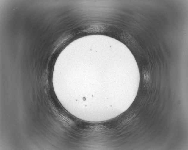 X0000058800396200510171352