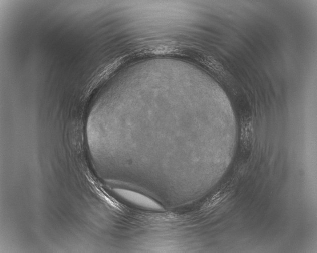 X0000058800397200510171352