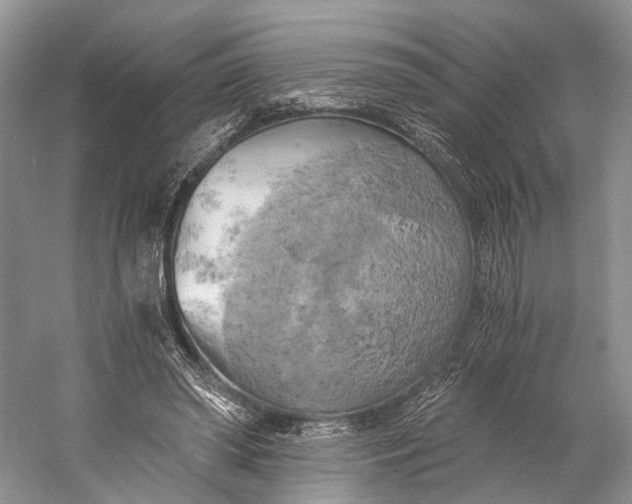 X0000058800398200510171352