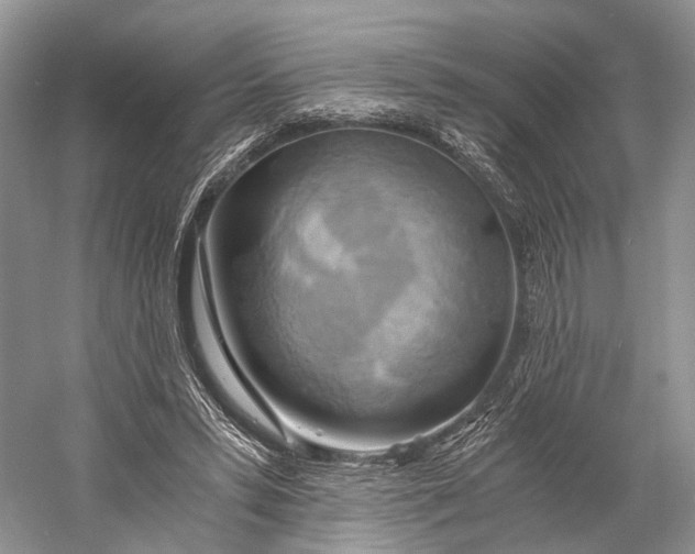 X0000058800399200510171352