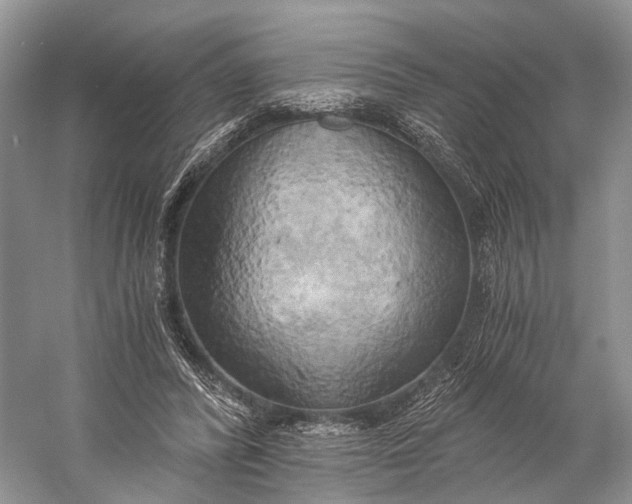 X0000058800400200510171352