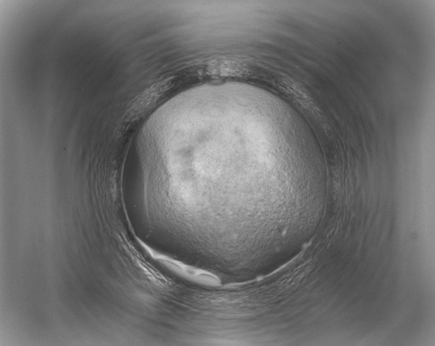 X0000058800401200510171352