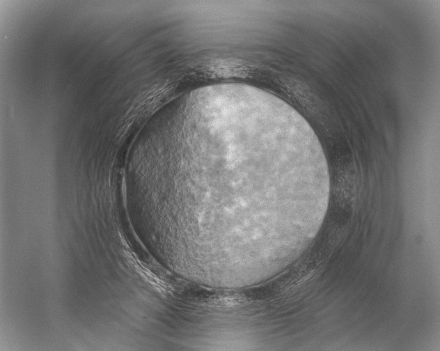 X0000058800402200510171352