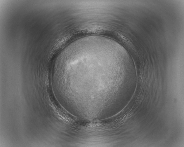 X0000058800403200510171352