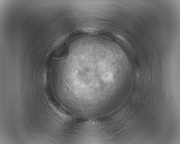 X0000058800404200510171352