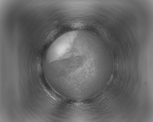 X0000058800408200510171352