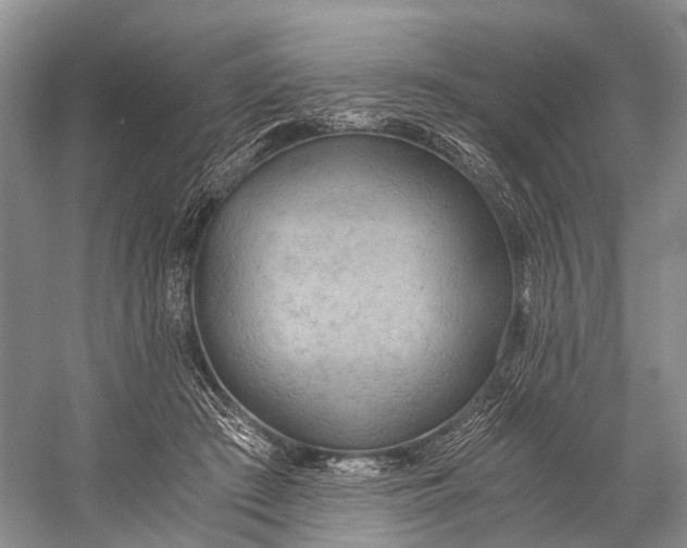 X0000058800409200510171352