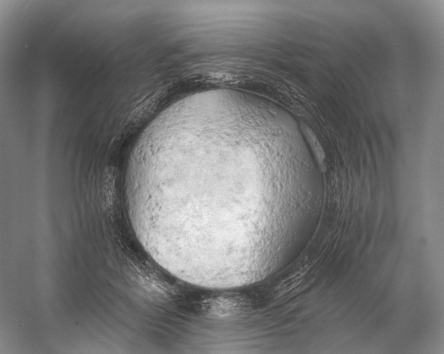 X0000058800412200510171352