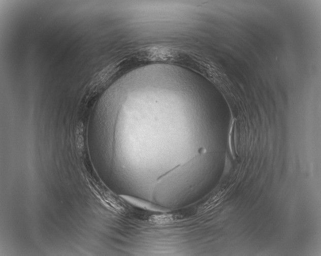 X0000058800413200510171352