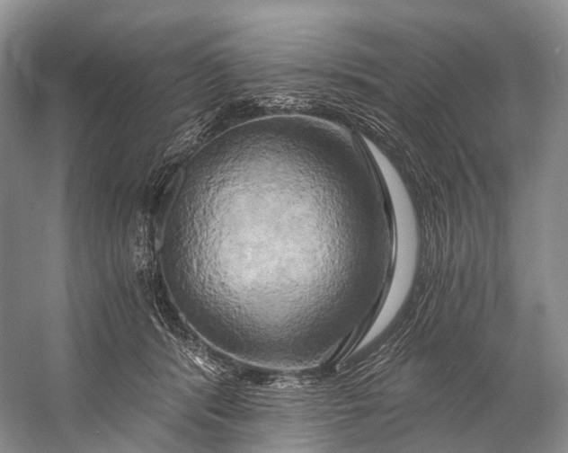 X0000058800416200510171352