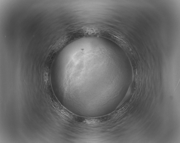 X0000058800417200510171352