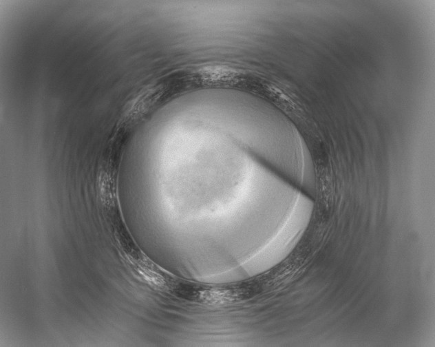 X0000058800419200510171352