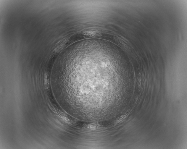 X0000058800420200510171352